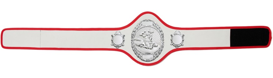MMA CHAMPIONSHIP BELT-PRO286/S/MMAS-10+ COLOURS